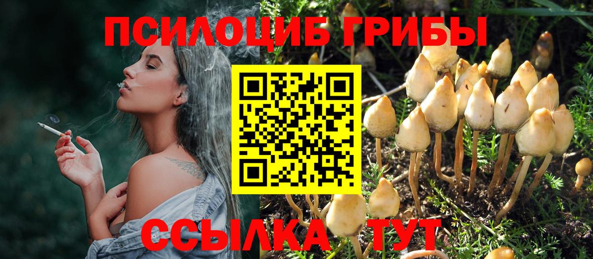 Псилоцибиновые грибы MAGIC MUSHROOMS Нижний Новгород