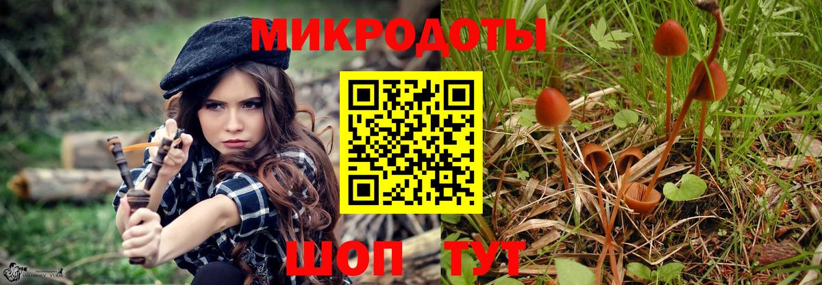 Галлюциногенные грибы Psilocybe  Вход с VPN  Галлюциногенные грибы прущие грибы  Нижний Новгород 